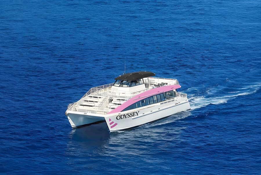 Oahu: Whale Watching Catamaran Tour near Waikiki - Why This Tour Works for Different Travelers