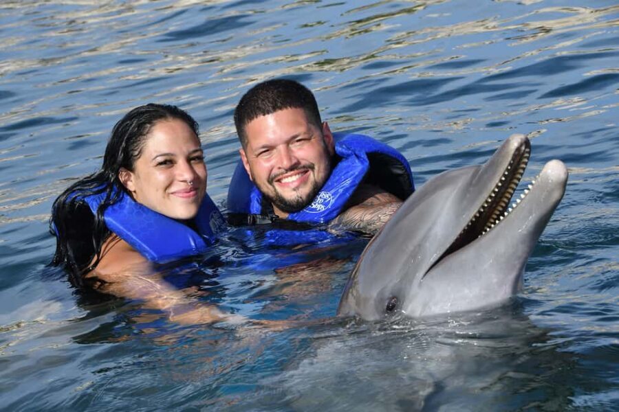 Ocean World Dolphin Swim & Sea Lion Combo from Puerto Plata - How This Tour Balances Value and Experience