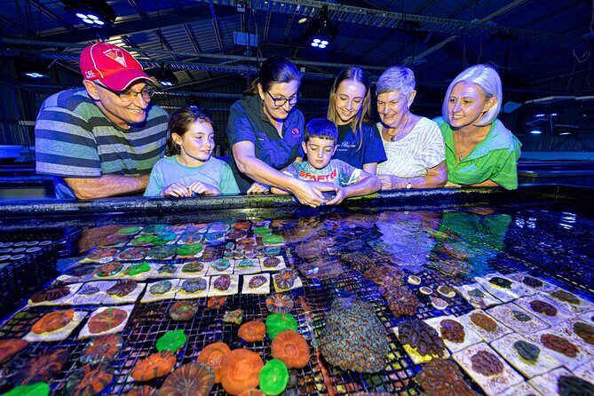 One Hour Coral Farm Tour, Discover Australia's Marine Life - The Itinerary in Detail