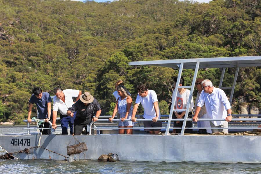 Pearl & Oyster Farm Hawkesbury River Cruise - Final Thoughts: Is It Worth It?