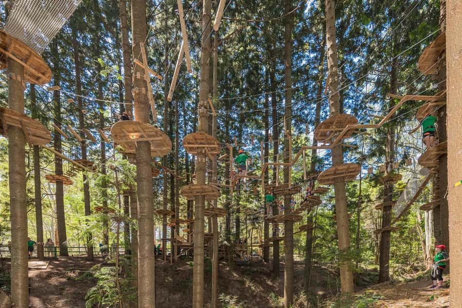 Pennant Hills: Tree Ropes Course Session - The Value and Practicalities