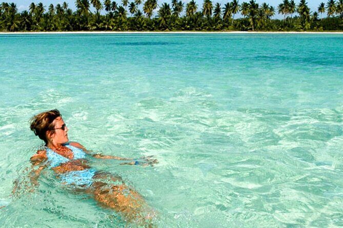 Perfect Day at Saona Island by Speedboat - Completely Private - What Travelers Say