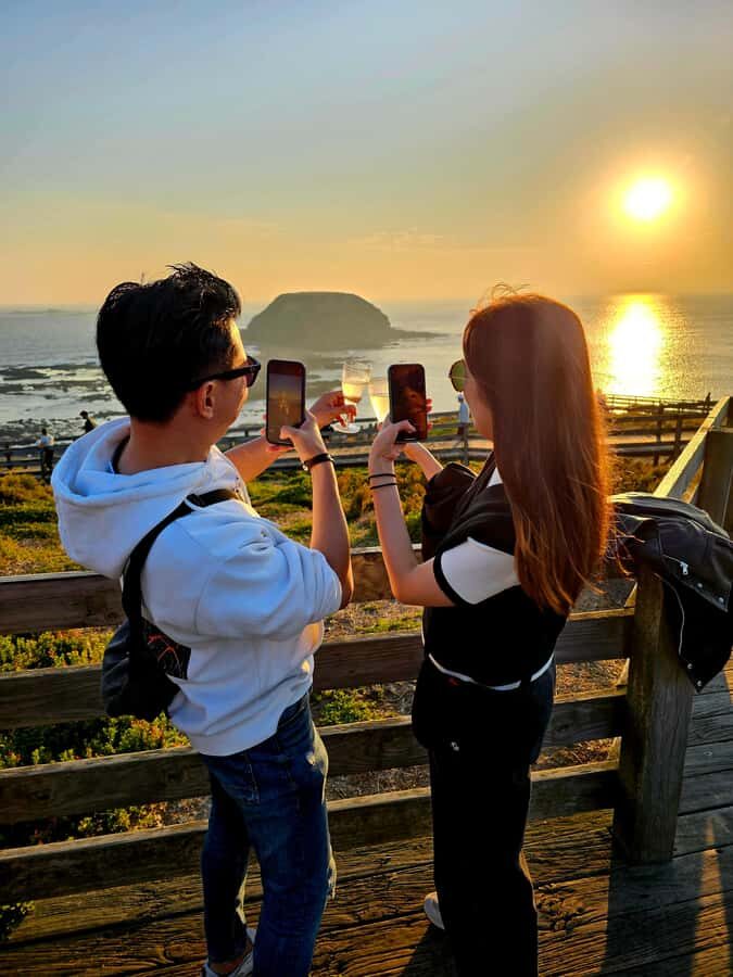 Phillip Island: Wine, Wildlife & Penguins with Gourmet Feast - The Transportation and Group Size