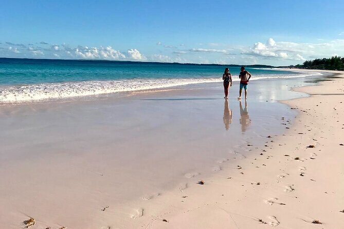 Pink Sand Beach and Swimming Pigs Adventure from Nassau - What Travelers Say