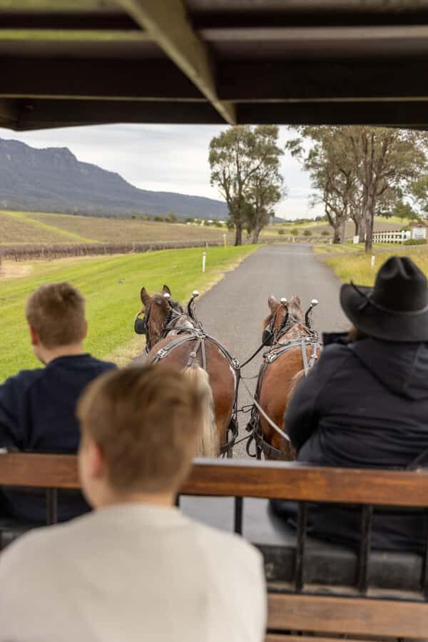 Pokolbin: Harvest the Hunter Horse Drawn Carriage Tour 3hrs - Who Is This Tour Best For?
