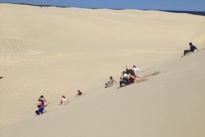 Port Stephens, Beach and Sand Dune 4WD Passenger Tour - Who Will Love This Tour?
