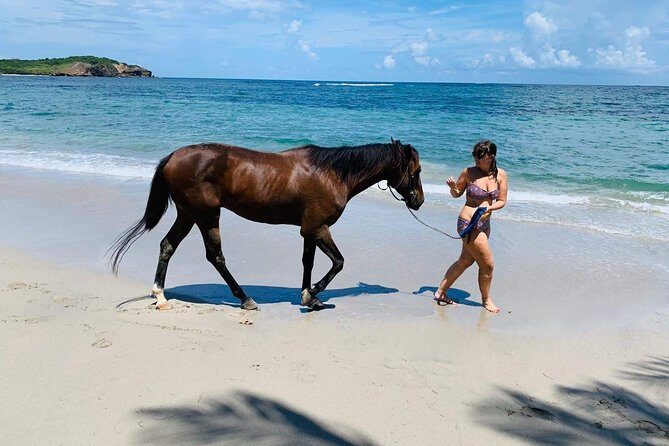 Private Advanced Horseback Beach Ride with Sandy Hoofs St. Lucia - The Experience: A Deep Dive into the Adventure