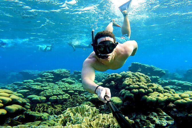 Private Angelfish Snorkeling with Brunch in Aruba - The Itinerary: What to Expect