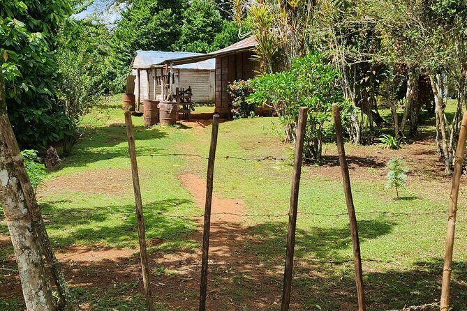 Private Countryside and City Tour in Puerto Plata - Exploring Puerto Plata: The Heart of the City