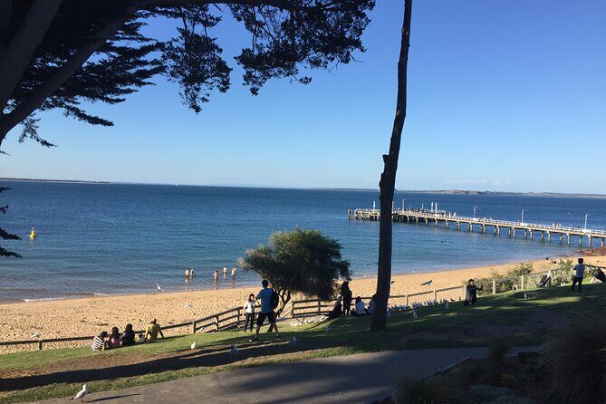 Private custom Tour of Phillip Island With Penguin Parade - An In-Depth Review of the Phillip Island Private Tour