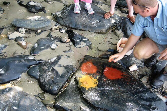 Private Daintree Wanderer Tour - Itinerary Breakdown: What to Expect at Each Stop