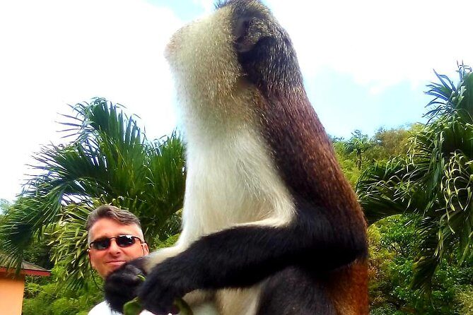 Private Fun Tour in Grenada - The Practicalities