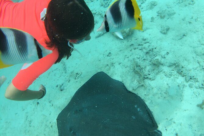 PRIVATE HALF DAY LAGOON TOUR - Bora Bora Cultural Lagoon Tour - Analyzing the Value