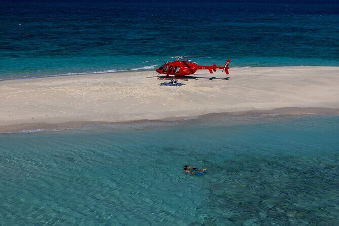 Private Helicopter Tour: Reef Island Snorkeling and Gourmet Picnic Lunch - Authentic Traveler Feedback