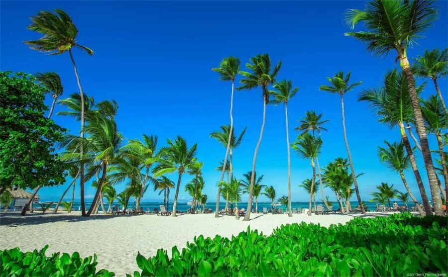 Private: Isla Saona VIP Escape Luxury Beach & Speedboat Tour - Transportation and Group Size