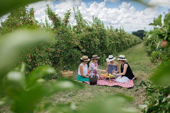 Private Picnic Lunch Experience in Orange with Wine - The Reviews Speak for Themselves