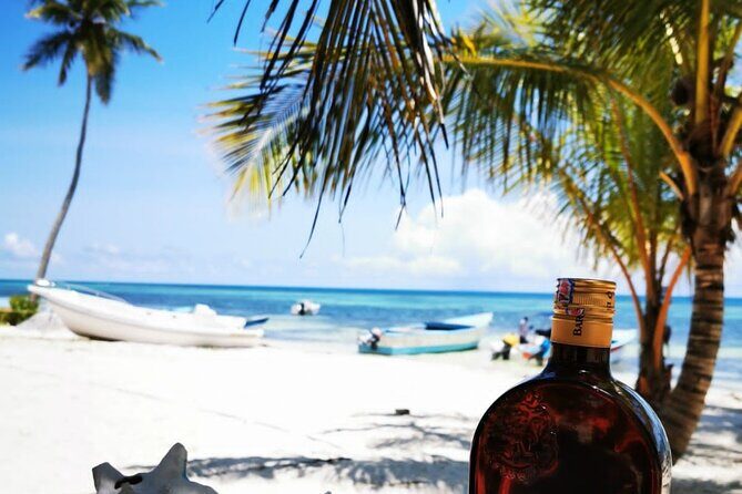 Private Puerto Plata Food Tour and Beach Chillout - Who Will Love This Tour?