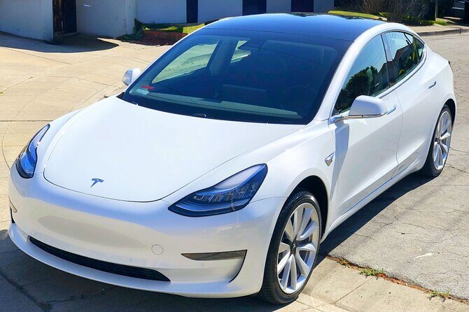 Private Tesla Transfer: Auckland, Tauranga, Rotorua, Taupo - Practical Details and Considerations