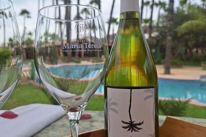 Private Therapeutic Massage Experience in Valle de Guadalupe - Setting the Scene: What to Expect at This Wellness Experience