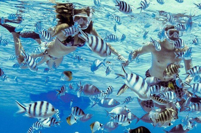 Private Tour: Bora Bora Lagoon Eco Snorkel Cruise - 3hrs or 6hrs - FAQ