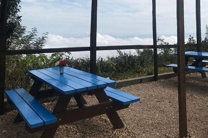 Private Tour of Port Au Prince area - What Does the Transportation Really Mean for You?