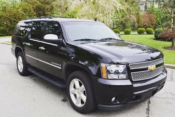 private transfer standard and premium punta cana airport / samana / galera - Why Choose This Transfer?