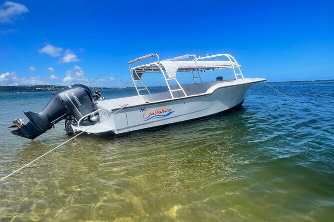 Public or Private Boat Trip to Icacos & Palomino - Detailed Itinerary Breakdown