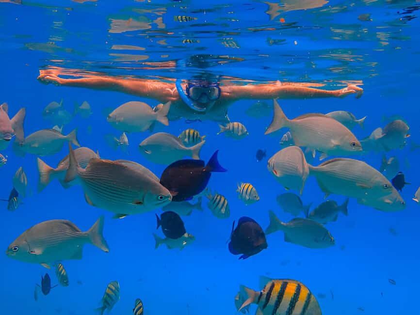 Puerto Plata: Snorkeling Excursion to Sosúa beach - What to Expect During the Tour