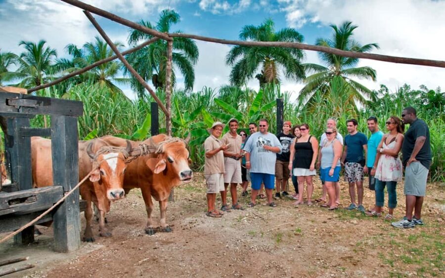 Punta Cana: Bavaro Runners Safari Tour - Practical Details and Considerations
