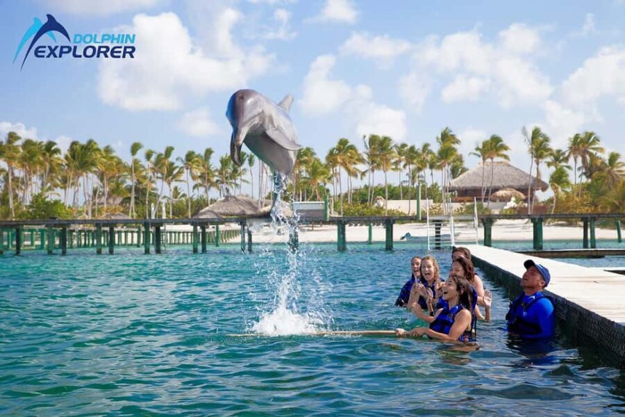 Punta Cana Dolphin Adventure: 40-Minute Interaction - The Itinerary Breakdown