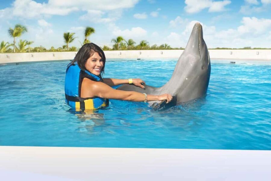 Punta Cana: Dolphin Interaction Experience & Hotel Transfers - Value and Pricing