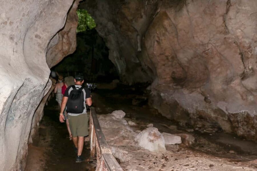 Punta Cana: Haitises, Cano Hondo, Redonda Mountain Day Trip - What Makes This Tour Stand Out?