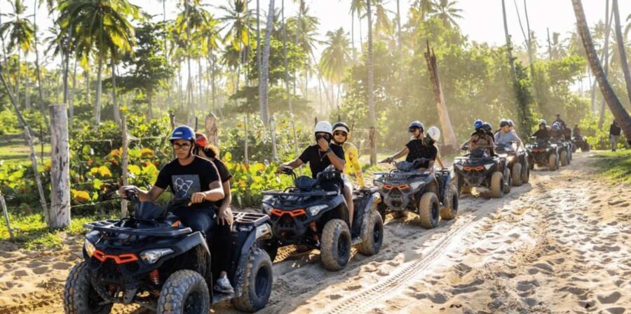 Punta Cana: Half-Day Buggy Tour with PickUp & Macao Beach - What to Expect from the Tour