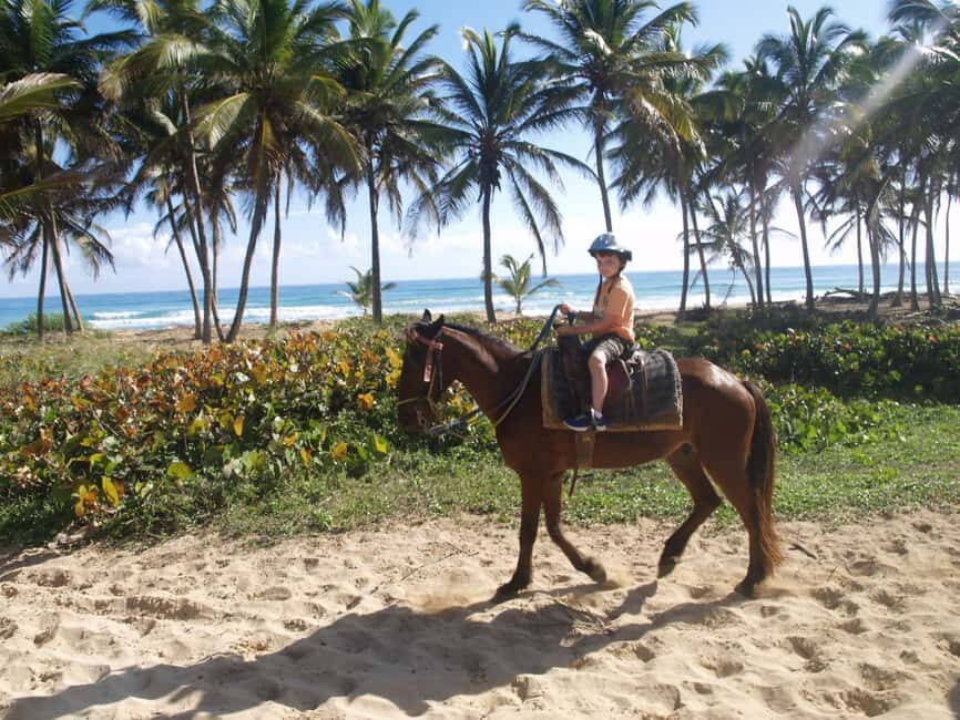 Punta Cana: Horseback Ride to Macao Beach - Practical Tips for Your Ride