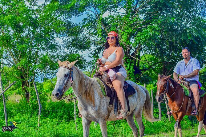 Punta Cana Horseback Riding Adventure on Macao Beach - The Experience: What Travelers Say
