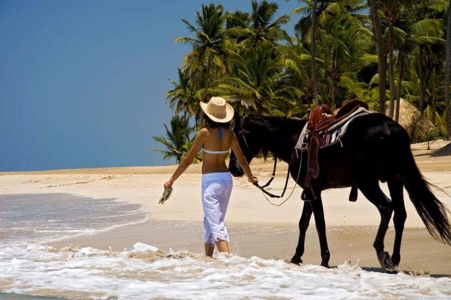 Punta Cana: Horseback Riding through Stunning Beaches - The Value of This Experience