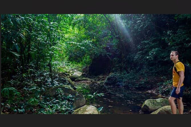 Punta Cana: Los Haitises Hike & Kayaking Mangroves - Kayaking through Mangroves and the Bay