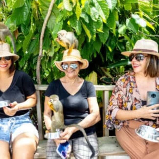 Punta Cana: Monkeyland Half-Day Tour with Snacks and Guide - Final Thoughts: Is It Worth It?