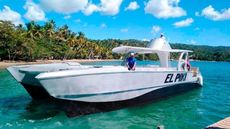 Punta Cana:Samaná Bay,Bacardí Island and El Limón Waterfall - What the Reviews Say