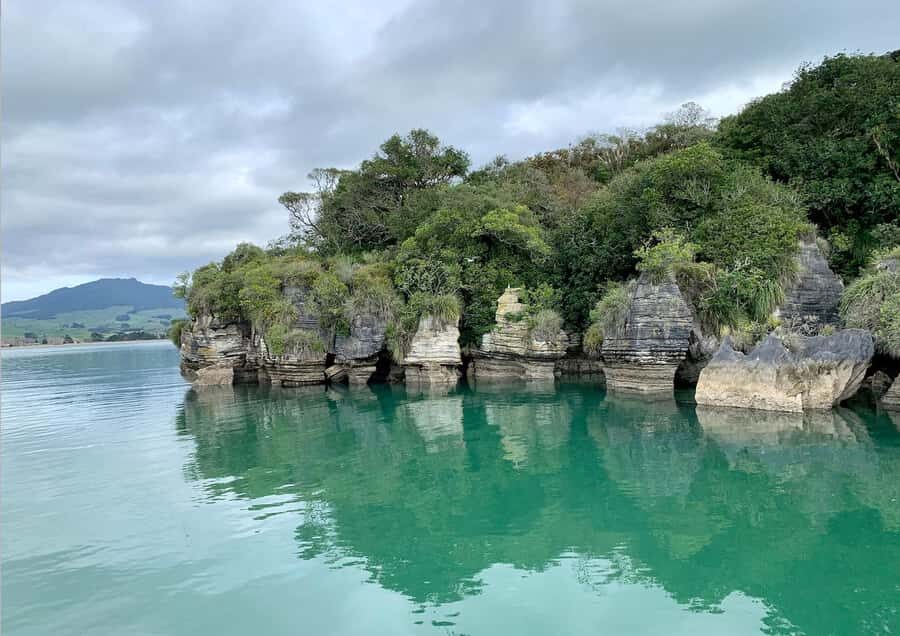 Raglan: Scenic Nature Boat Cruise - Practical Tips for Your Trip