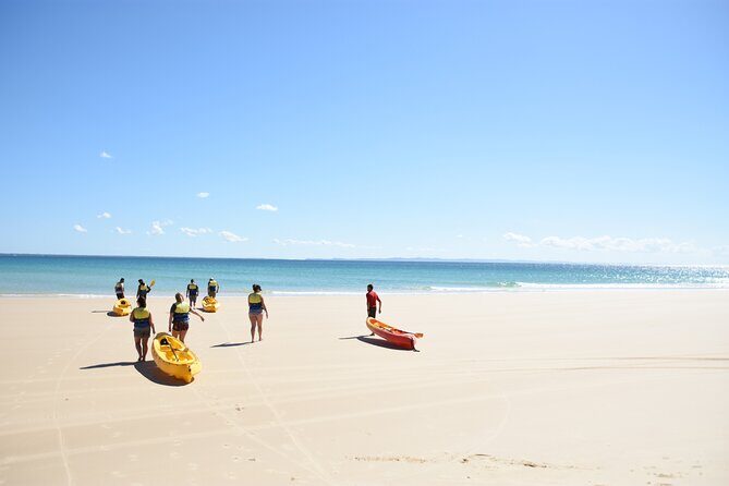Rainbow Beach: Dolphin & Wildlife Ocean Kayak & Beach 4WD Tour - Pricing and Value