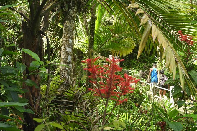 Rainforest Nature Walk & Luquillo Beach Combo - Beach Time at Luquillo