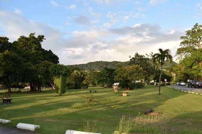 Relax in Hot Springs and swim in Titou Gorge and Trafalgar Falls - Authentic Insights from Travelers