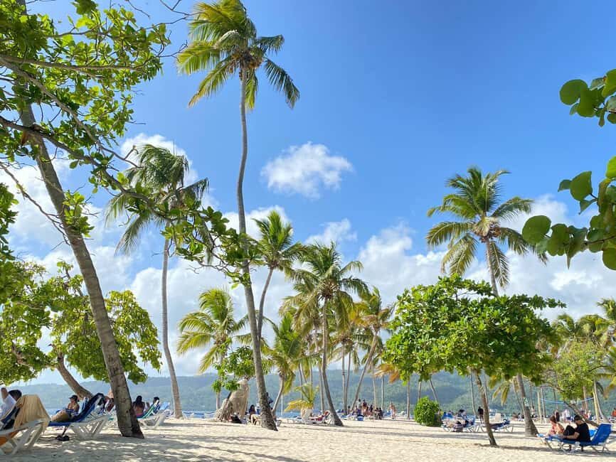 Rincon Beach and Cayo Levantado from Punta Cana - Transportation and Comfort