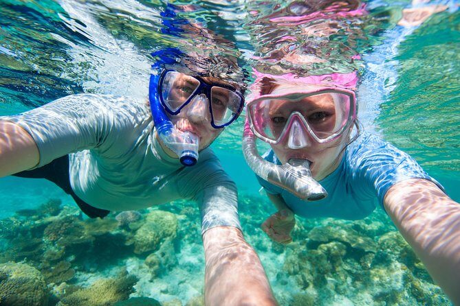 Rincon Snorkeling Adventure - Small Groups Mean More Intimate Encounters