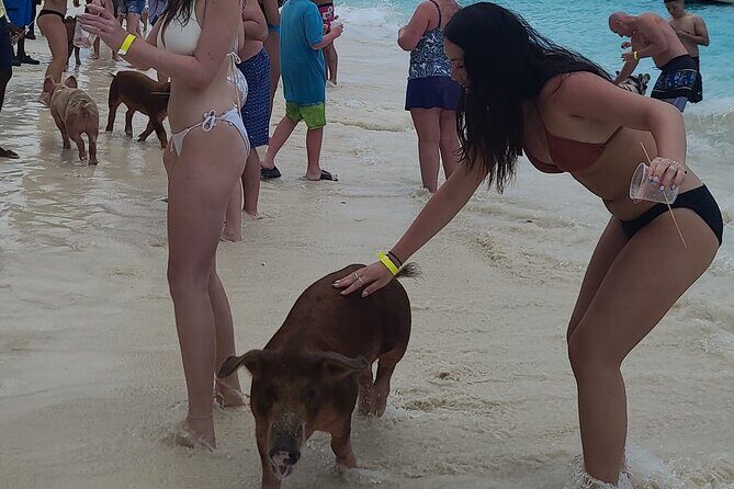 Rose Island 3 Island Luxury Private Tour(8hrs) - What’s Included and What’s Not