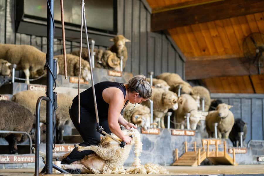 Rotorua: Authentic Kiwi Farm Experience at the Agrodome - The Key Points That Matter
