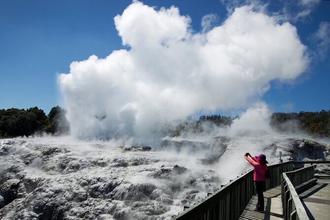 Rotorua Day Trip from Auckland TePuia_Hot Pool-Tub_Redwood Forest - Te Puia: Geothermal and Maori Culture