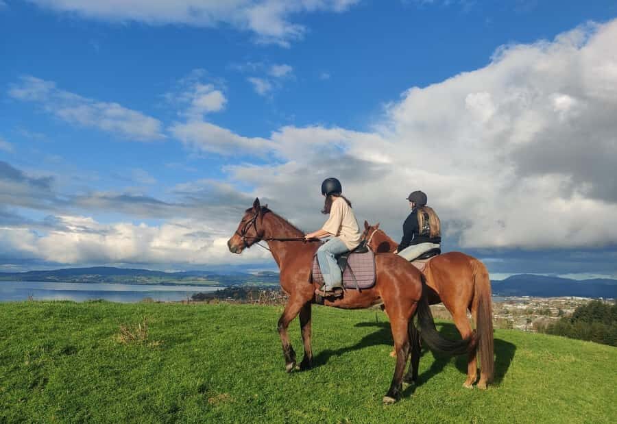 Rotorua: Scenic Horse Trek - Who Is This Tour Best For?