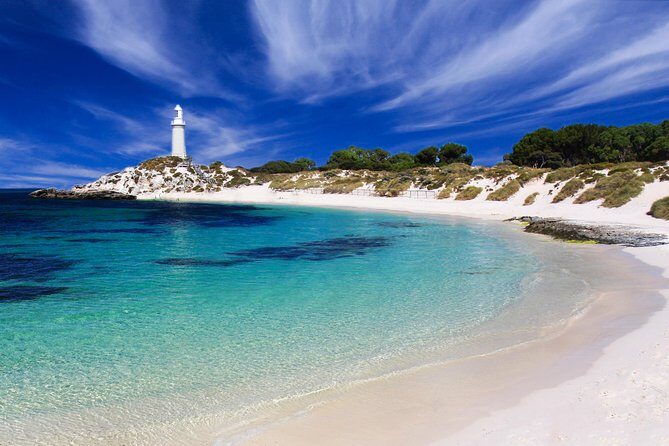 Rottnest Island Grand Tour Including Lunch and Historical Train Ride - What the Reviews Say
